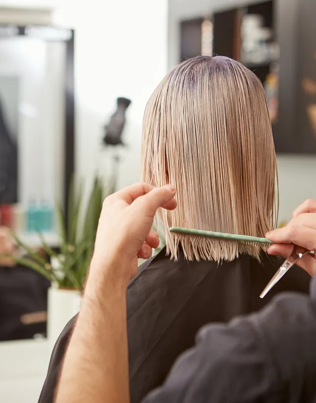 Hairdresser Combing Woman Hair In Beauty Salon 2022 01 28 16 45 02 Utc 640w.webp